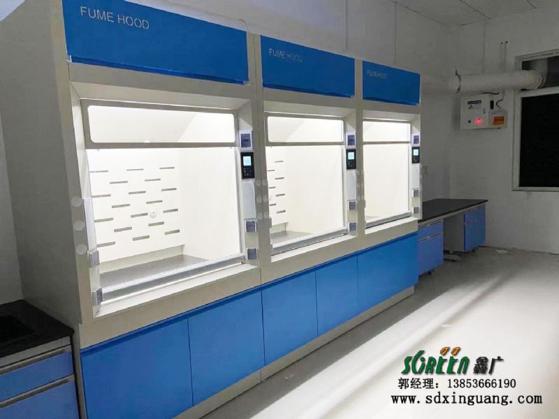 東營(yíng)市山東大明環(huán)保工程技術(shù)有限公司實(shí)驗(yàn)室邊臺(tái)、通風(fēng)系統(tǒng)等實(shí)驗(yàn)室家具安裝現(xiàn)場(chǎng)