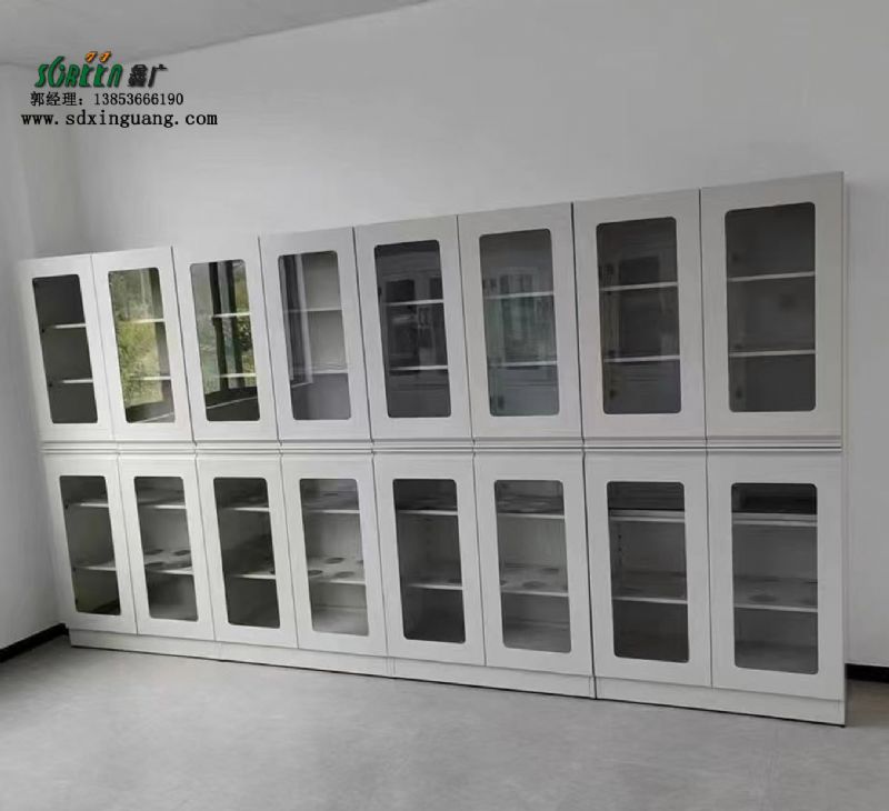 山東實(shí)驗(yàn)臺(tái)全鋼試劑柜實(shí)驗(yàn)室器皿柜實(shí)驗(yàn)臺(tái)廠家