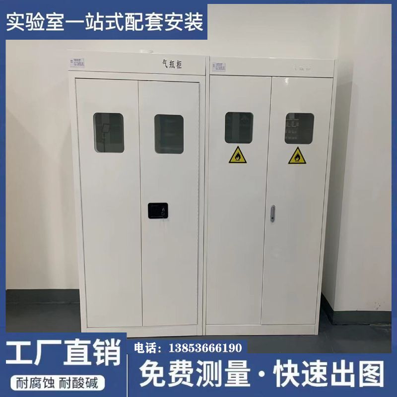 山東實(shí)驗(yàn)室家具 實(shí)驗(yàn)臺(tái) 定制鋼制氣瓶柜廠(chǎng)家